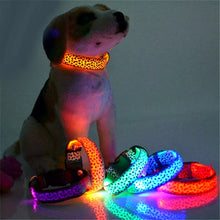 Load image into Gallery viewer, Adjustable LED Light Glow Pet Collar - PetBrand