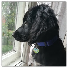 Load image into Gallery viewer, New cat / dog ID tag with engraving - PetBrand