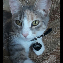 Load image into Gallery viewer, New cat / dog ID tag with engraving - PetBrand