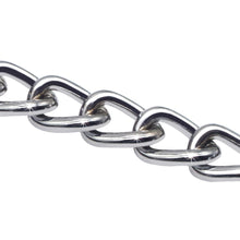 Load image into Gallery viewer, Personalized Pet Chain - PetBrand