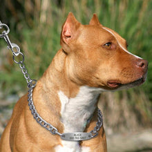 Load image into Gallery viewer, Personalized Pet Chain - PetBrand