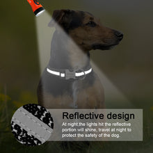 Load image into Gallery viewer, Personalized Reflective Dog Collars - PetBrand