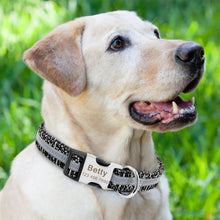 Load image into Gallery viewer, Personalized Reflective Dog Collars - PetBrand