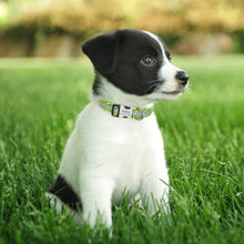 Load image into Gallery viewer, Personalized Reflective Dog Collars - PetBrand