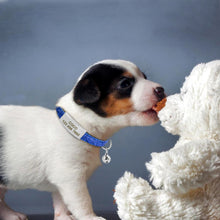 Load image into Gallery viewer, Personalized Quick Release Cat Collar - PetBrand