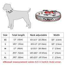 Load image into Gallery viewer, Personalized Dog Collar with metal ID - PetBrand