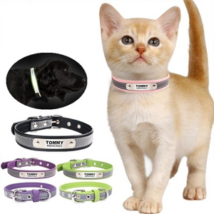 Reflective Leather Customized Cat Collar - PetBrand 