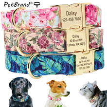 Load image into Gallery viewer, Personalized  Puppy Nameplate Collar - PetBrand 
