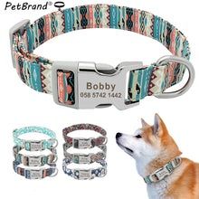 Load image into Gallery viewer, Customized Printed Nylon Dog Collar - PetBrand 
