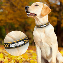 Load image into Gallery viewer, Personalized Dog Collar with metal ID - PetBrand 
