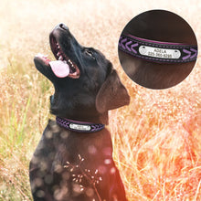 Load image into Gallery viewer, Personalized Dog Collar with metal ID - PetBrand 
