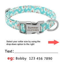 Load image into Gallery viewer, Customized Printed Nylon Dog Collar - PetBrand 
