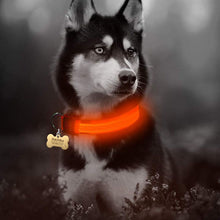 Load image into Gallery viewer, Nylon LED Pet Collar (Night Safety) - PetBrand 
