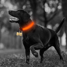 Load image into Gallery viewer, Nylon LED Pet Collar (Night Safety) - PetBrand 
