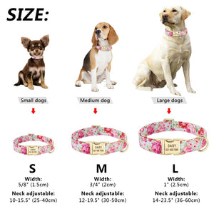 Personalized  Puppy Nameplate Collar - PetBrand 