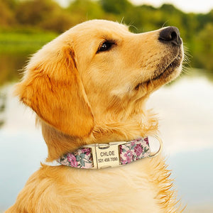 Personalized  Puppy Nameplate Collar - PetBrand 