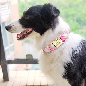 Personalized  Puppy Nameplate Collar - PetBrand 