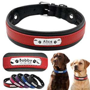 Personalized Leather Dog Collar - PetBrand 