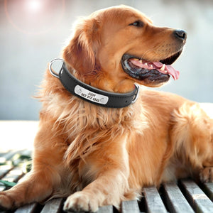 Leather  Durable Personalized Dog Collar - PetBrand 