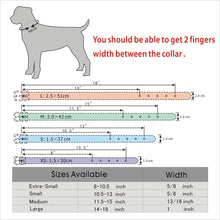 Load image into Gallery viewer, Bling Rhinestone Personalized pet Collars - PetBrand 
