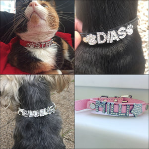 Bling Rhinestone Personalized pet Collars - PetBrand 