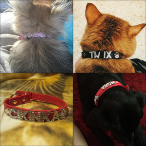 Bling Rhinestone Personalized pet Collars - PetBrand 