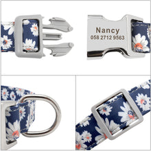 Load image into Gallery viewer, Personalized Printed Nylon Dog Collar - PetBrand 
