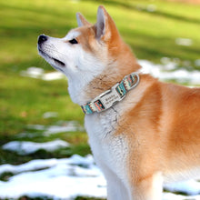 Load image into Gallery viewer, Personalized Printed Nylon Dog Collar - PetBrand 
