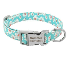 Load image into Gallery viewer, Personalized Printed Nylon Dog Collar - PetBrand 
