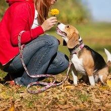 Load image into Gallery viewer, Personalized Printed Dog Collar - PetBrand 
