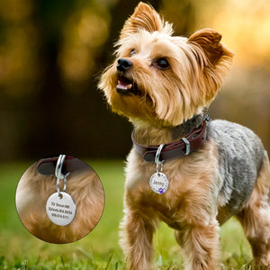 New cat / dog ID tag with engraving - PetBrand 