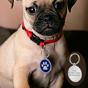 New cat / dog ID tag with engraving - PetBrand 