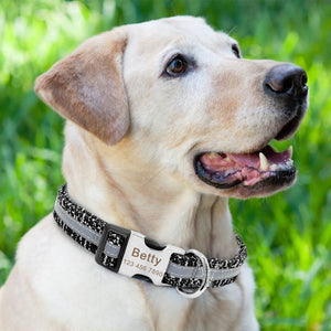 Personalized Reflective Dog Collars - PetBrand 