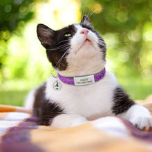 Load image into Gallery viewer, Personalized Quick Release Cat Collar - PetBrand 
