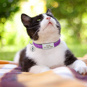 Personalized Quick Release Cat Collar - PetBrand 