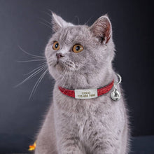 Load image into Gallery viewer, Personalized Quick Release Cat Collar - PetBrand 
