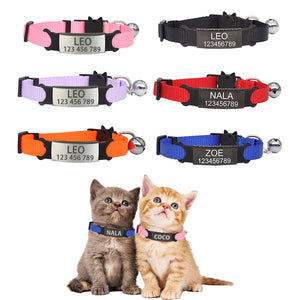 Personalized ID Engraving Cat Collar - PetBrand 