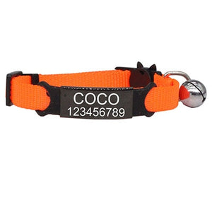 Personalized ID Engraving Cat Collar - PetBrand 