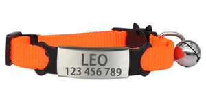 Personalized ID Engraving Cat Collar - PetBrand 