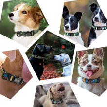 Load image into Gallery viewer, Personalized Nylon Dog Collar - PetBrand 
