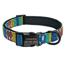 Load image into Gallery viewer, Personalized Nylon Dog Collar - PetBrand 
