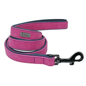 Leather Personalized Collars - PetBrand 