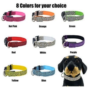 Adjustable LED Light Glow Pet Collar - PetBrand 