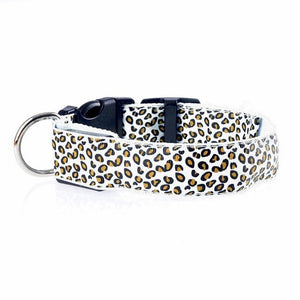 Adjustable LED Light Glow Pet Collar - PetBrand 