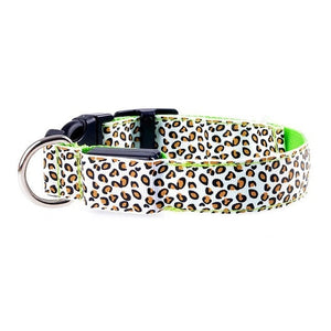 Adjustable LED Light Glow Pet Collar - PetBrand 