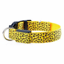 Load image into Gallery viewer, Adjustable LED Light Glow Pet Collar - PetBrand 
