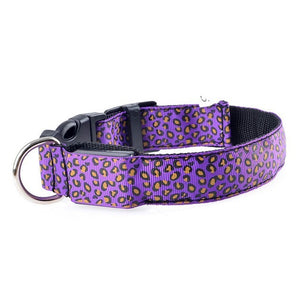 Adjustable LED Light Glow Pet Collar - PetBrand 