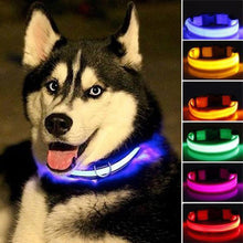 Load image into Gallery viewer, Nylon LED Pet Collar (Night Safety) - PetBrand 
