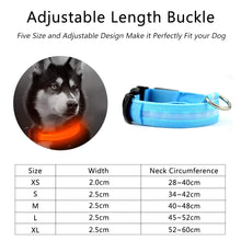 Load image into Gallery viewer, Nylon LED Pet Collar (Night Safety) - PetBrand 
