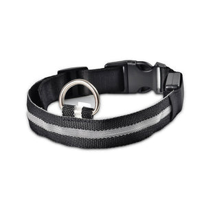 Nylon LED Pet Collar (Night Safety) - PetBrand 